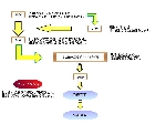 治療の流れ,検査・診断,ヘルスカウンセリングと健康管理計画の立案,予防プログラム,機能回復プログラム,管理プログラム