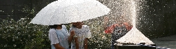 IMG_1177.jpg