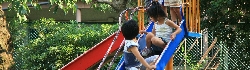 IMG_0009.jpg